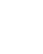Stade Brestois 29